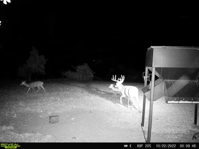 $616,000 | 4879 Allen Road, Fredonia, KS 66736