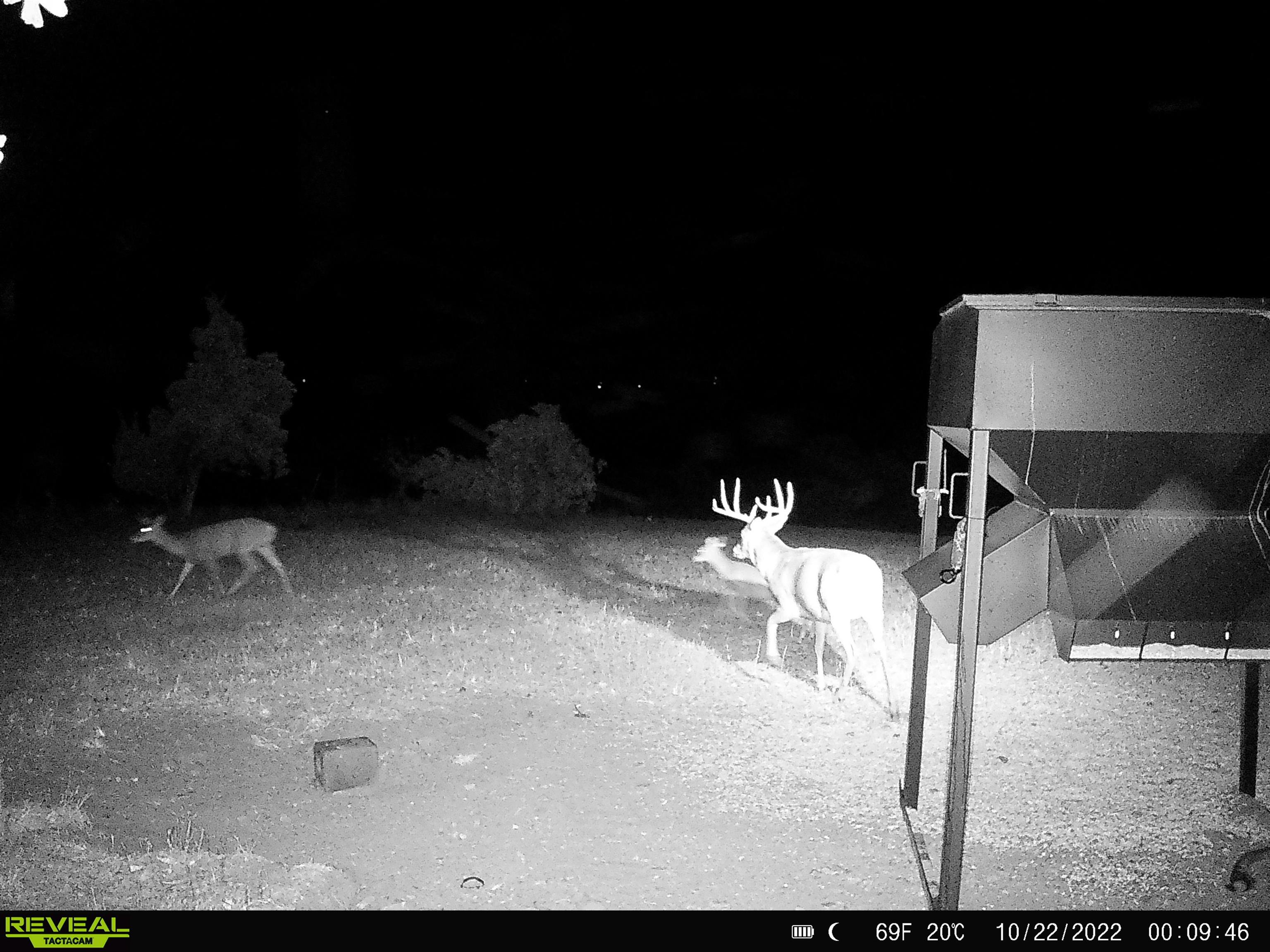 4879 Allen Road Fredonia, KS 66736 - Photo 13 of 22