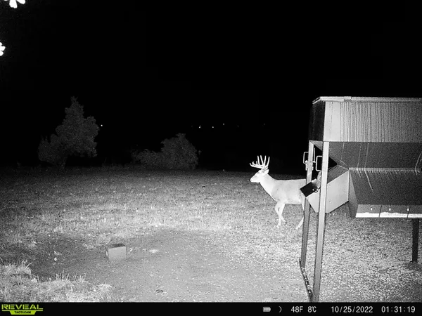 $616,000 | 4879 Allen Road, Fredonia, KS 66736