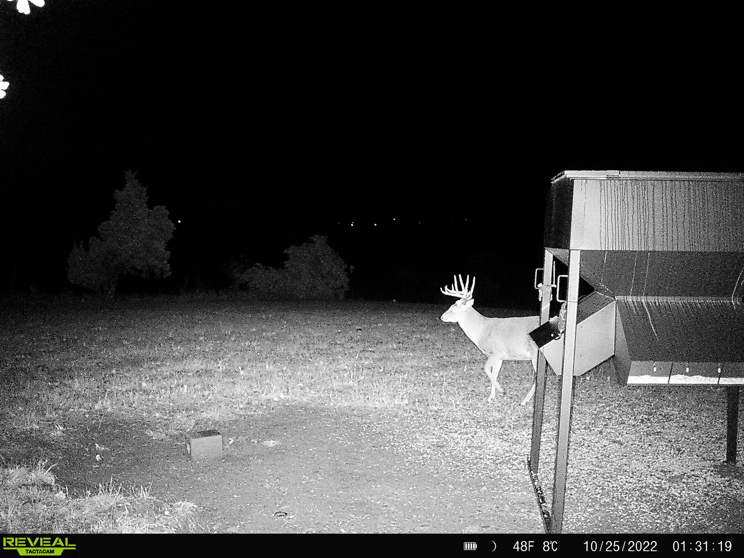 4879 Allen Road Fredonia, KS 66736 - Photo 14 of 22