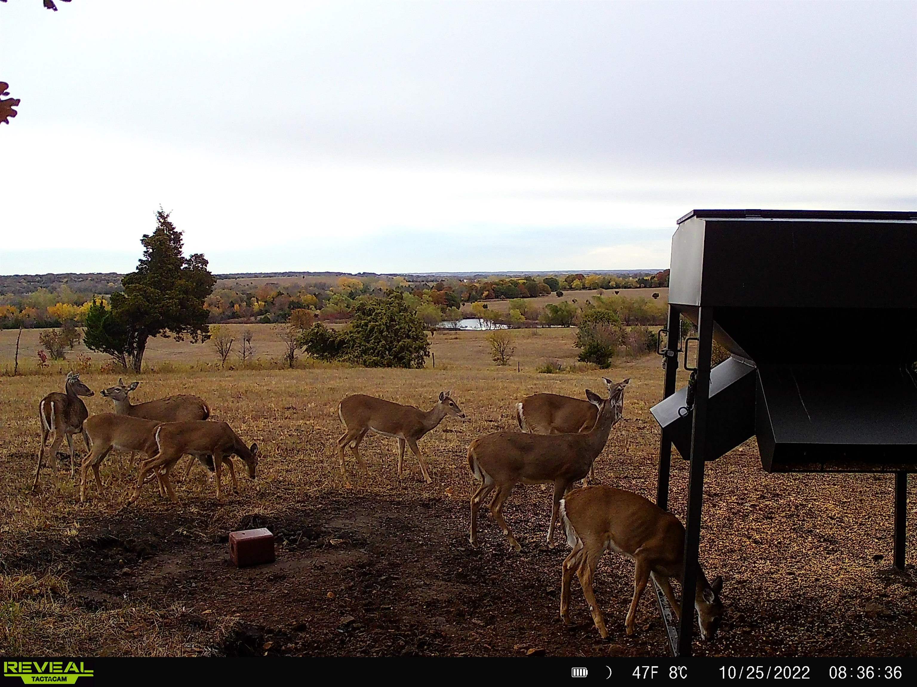4879 Allen Road Fredonia, KS 66736 - Photo 15 of 22