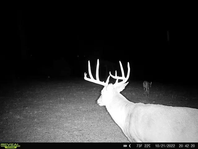 $616,000 | 4879 Allen Road, Fredonia, KS 66736