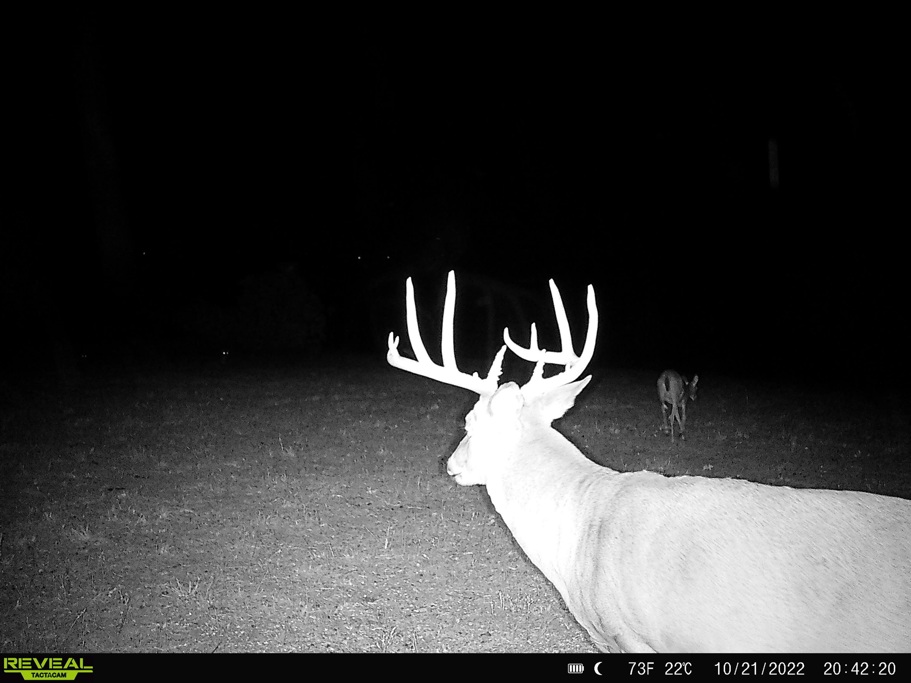 4879 Allen Road Fredonia, KS 66736 - Photo 17 of 22