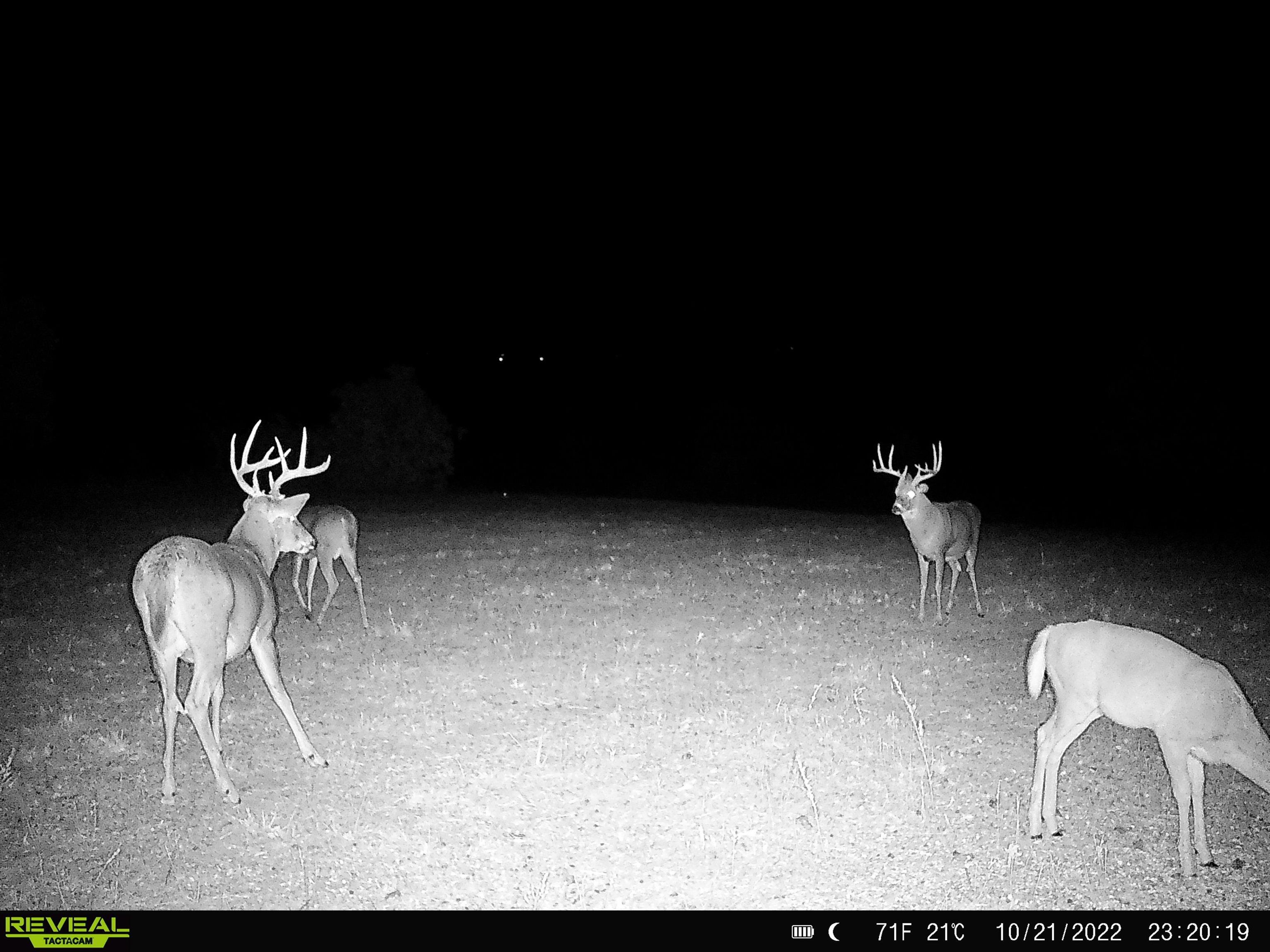 4879 Allen Road Fredonia, KS 66736 - Photo 18 of 22