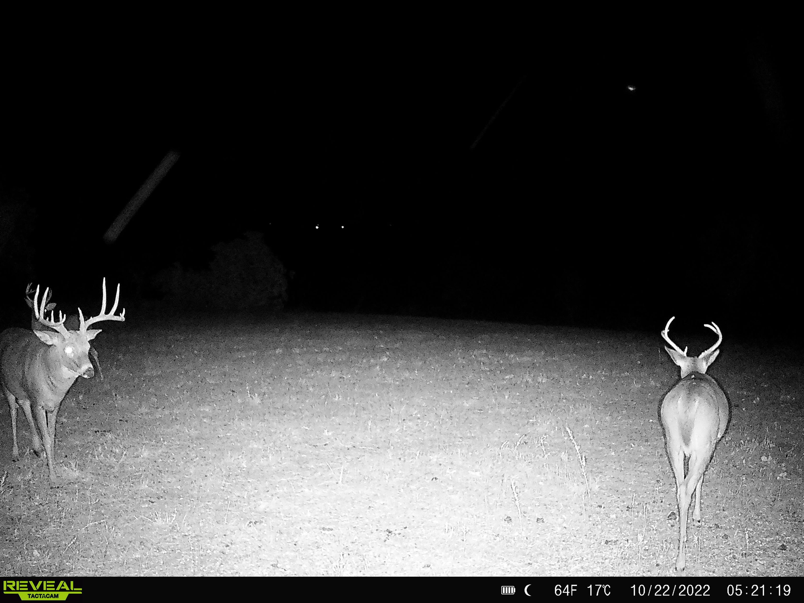 4879 Allen Road Fredonia, KS 66736 - Photo 19 of 22