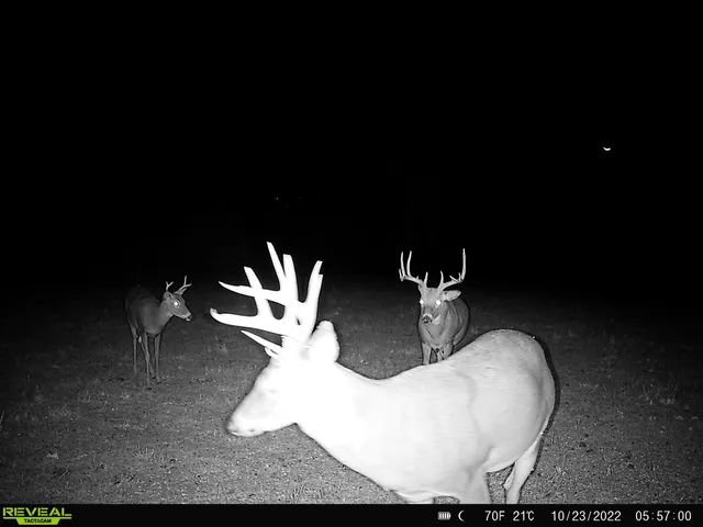 $616,000 | 4879 Allen Road, Fredonia, KS 66736