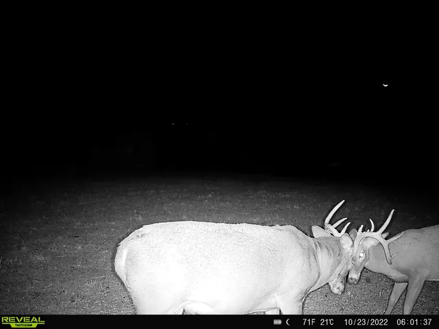 $616,000 | 4879 Allen Road, Fredonia, KS 66736