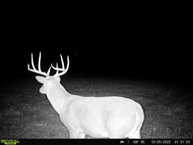 $616,000 | 4879 Allen Road, Fredonia, KS 66736