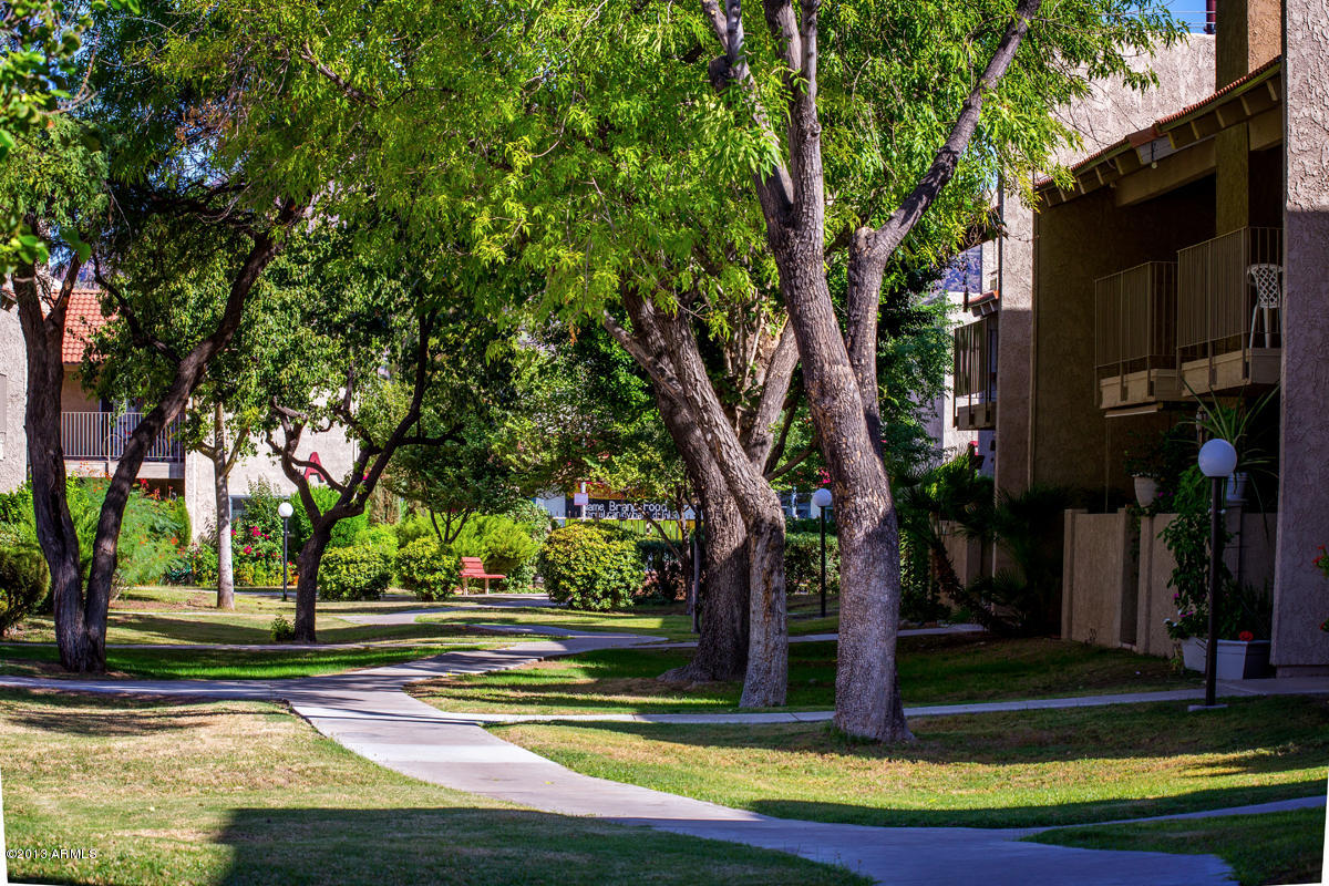 5525 East Thomas Road, Unit G9 Phoenix, AZ 85018 - Photo 10 of 13 Common Area 2