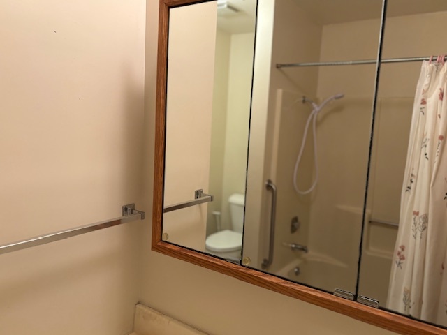 5287 South Mill Pond Road Rochelle, IL 61068 - Photo 30 of 50 a bathroom with a shower