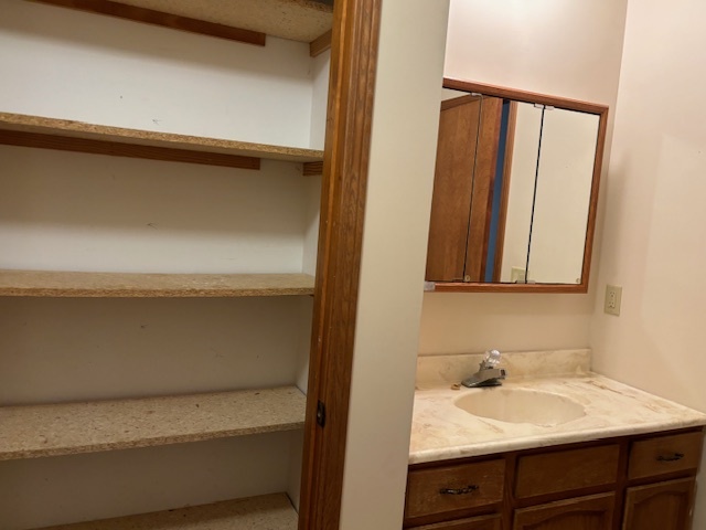 5287 South Mill Pond Road Rochelle, IL 61068 - Photo 32 of 50 a bathroom with a sink and a mirror
