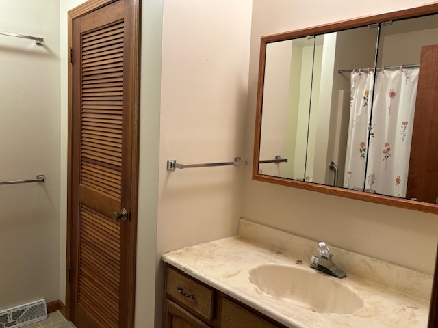 5287 South Mill Pond Road Rochelle, IL 61068 - Photo 33 of 50 a bathroom with a sink and a mirror