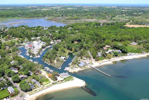 a view of a lake with a city
