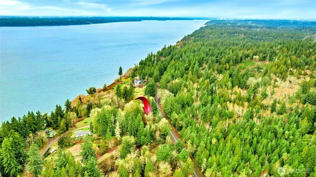 a view of a flower in a garden