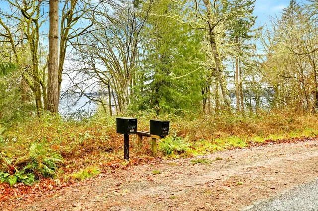 a backyard of a house with lots of trees