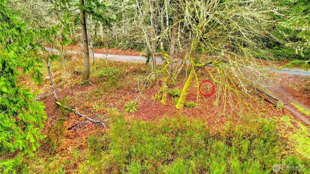 a view of a yard with trees