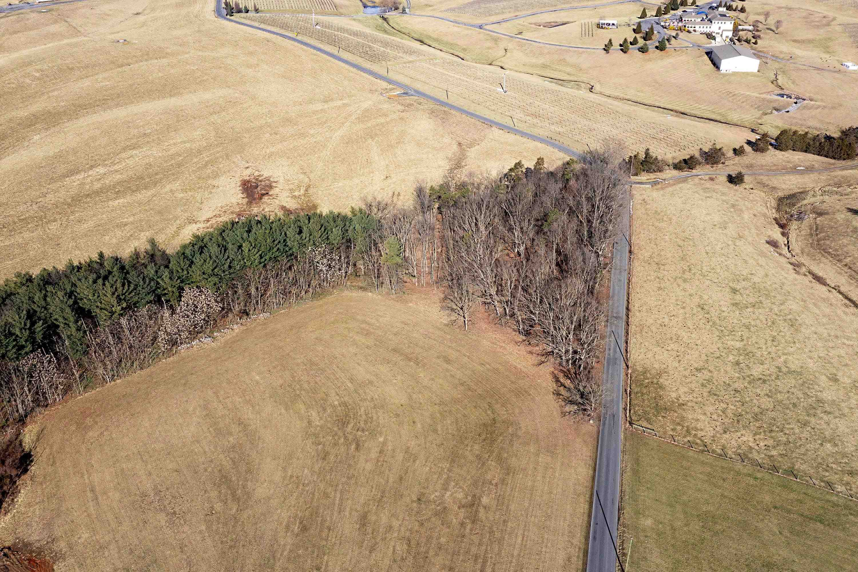 5.1-acres Timber Ridge Road East Fishersville, VA 22939 - Photo 12 of 19 Gallery Image 12