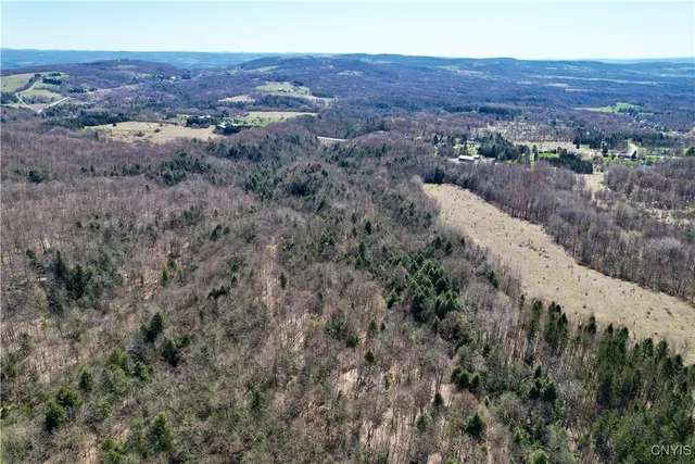 $158,000 | 0 Newport Road, Utica, NY 13502