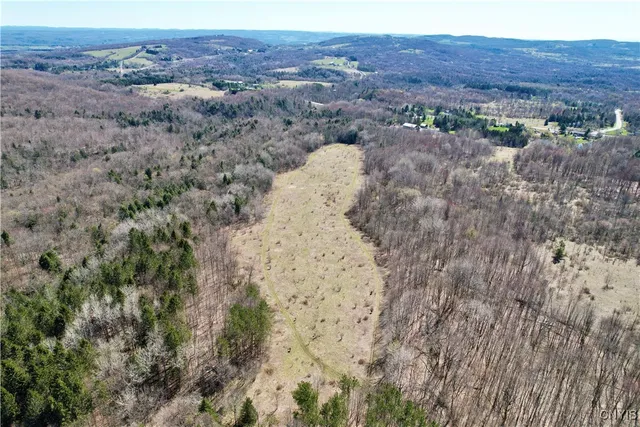 $158,000 | 0 Newport Road, Utica, NY 13502