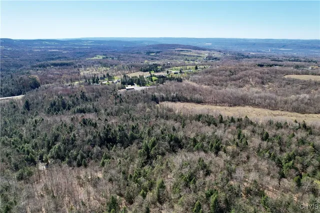 $158,000 | 0 Newport Road, Utica, NY 13502