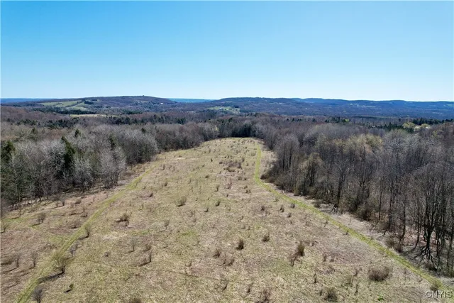 $158,000 | 0 Newport Road, Utica, NY 13502