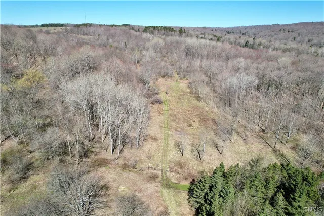 $158,000 | 0 Newport Road, Utica, NY 13502