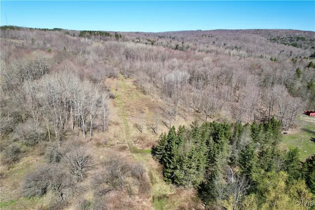 $158,000 | 0 Newport Road, Utica, NY 13502