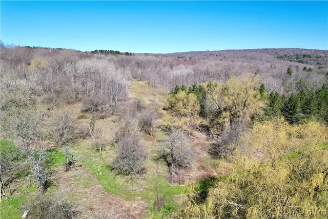 $158,000 | 0 Newport Road, Utica, NY 13502