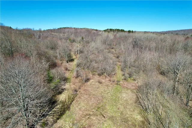 $158,000 | 0 Newport Road, Utica, NY 13502