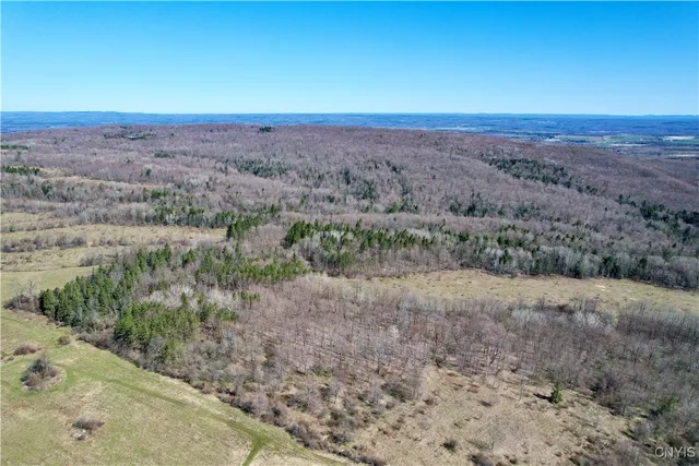 $158,000 | 0 Newport Road, Utica, NY 13502