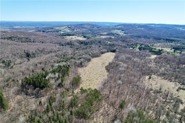 $158,000 | 0 Newport Road, Utica, NY 13502