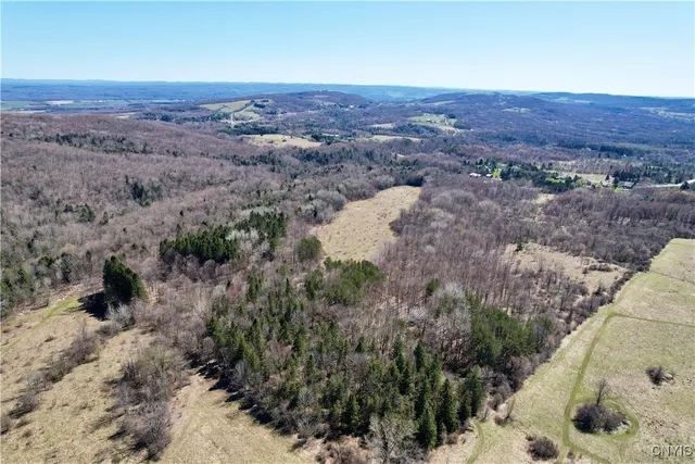 $158,000 | 0 Newport Road, Utica, NY 13502