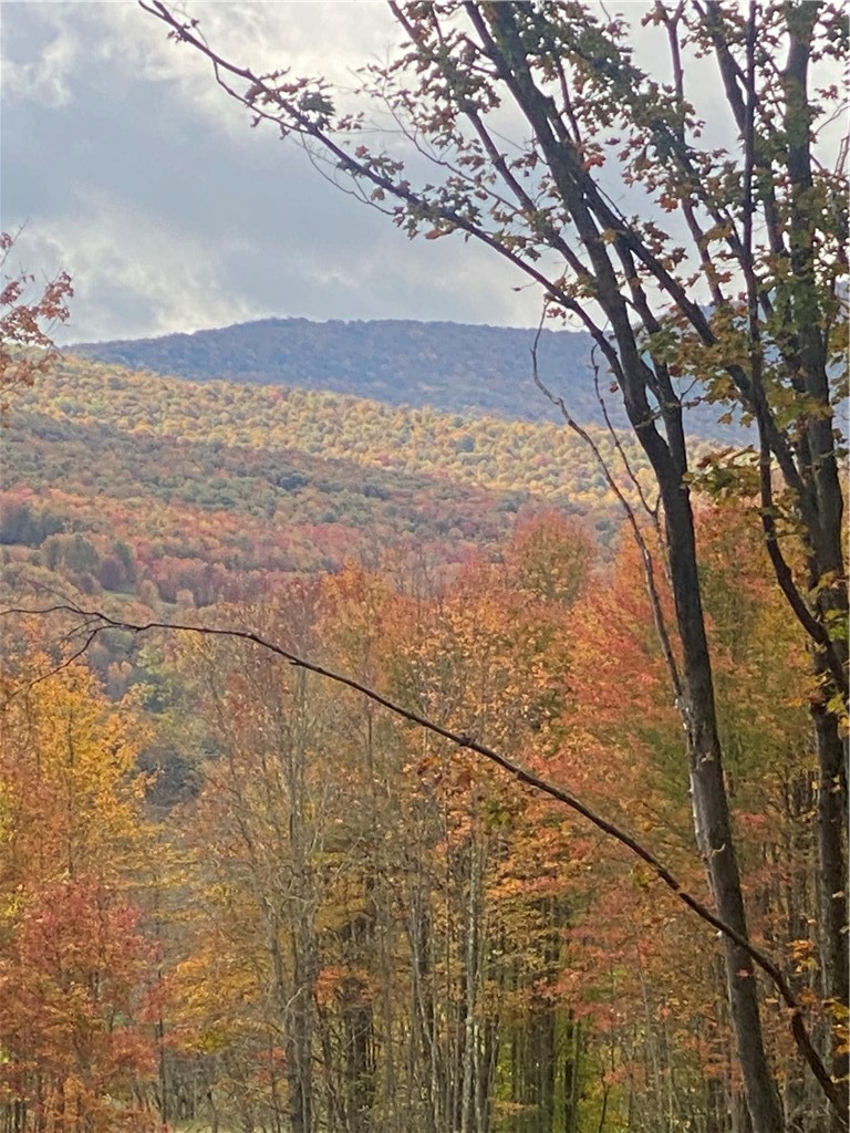 535 Babbling Brook Road Bovina Center, NY 13740 - Photo 11 of 26