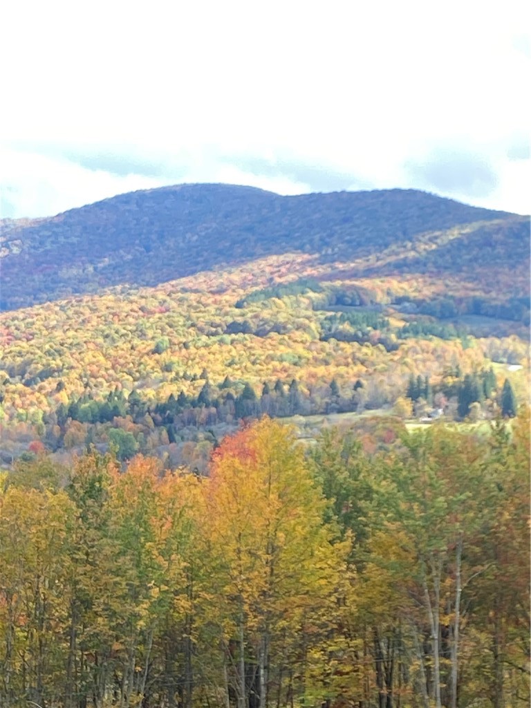 535 Babbling Brook Road Bovina Center, NY 13740 - Photo 13 of 26