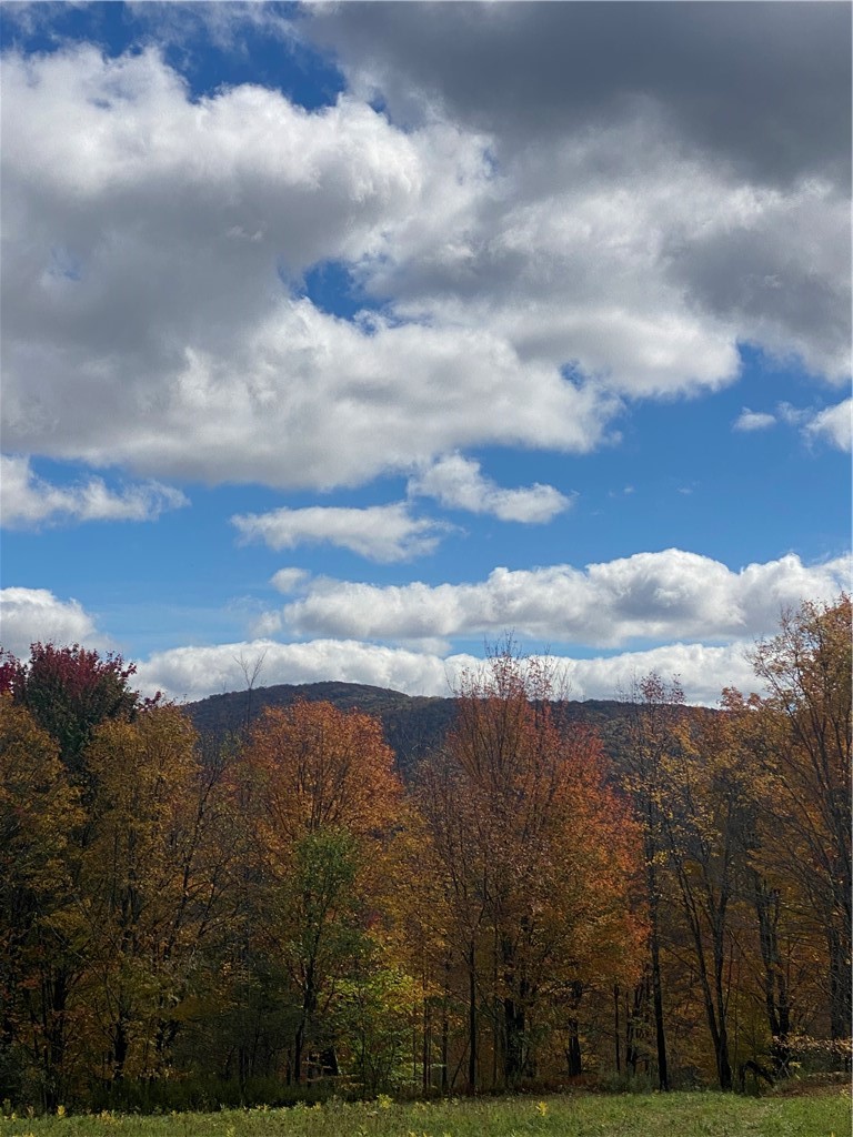 535 Babbling Brook Road Bovina Center, NY 13740 - Photo 14 of 26