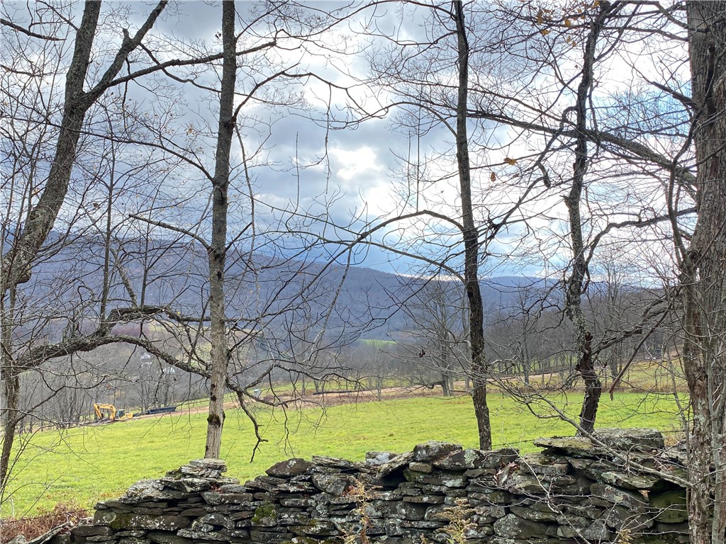 535 Babbling Brook Road Bovina Center, NY 13740 - Photo 15 of 26