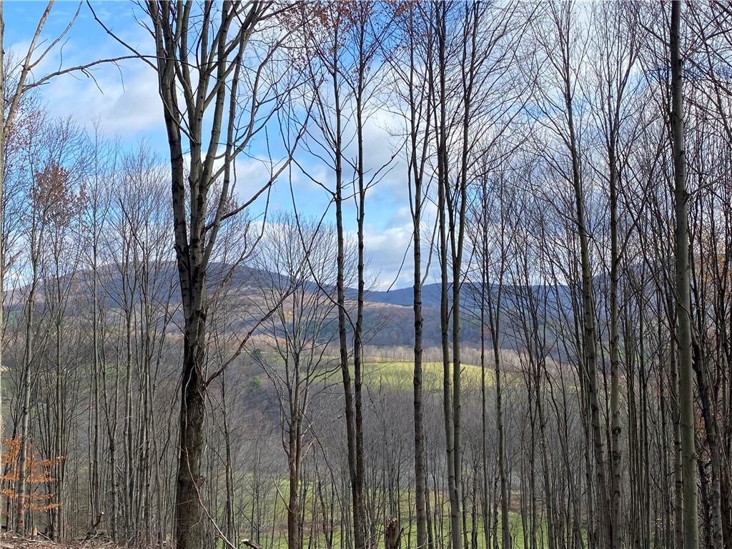 535 Babbling Brook Road Bovina Center, NY 13740 - Photo 16 of 26