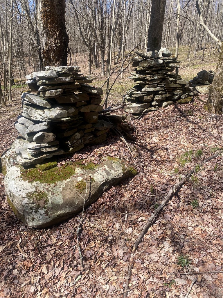 535 Babbling Brook Road Bovina Center, NY 13740 - Photo 17 of 26