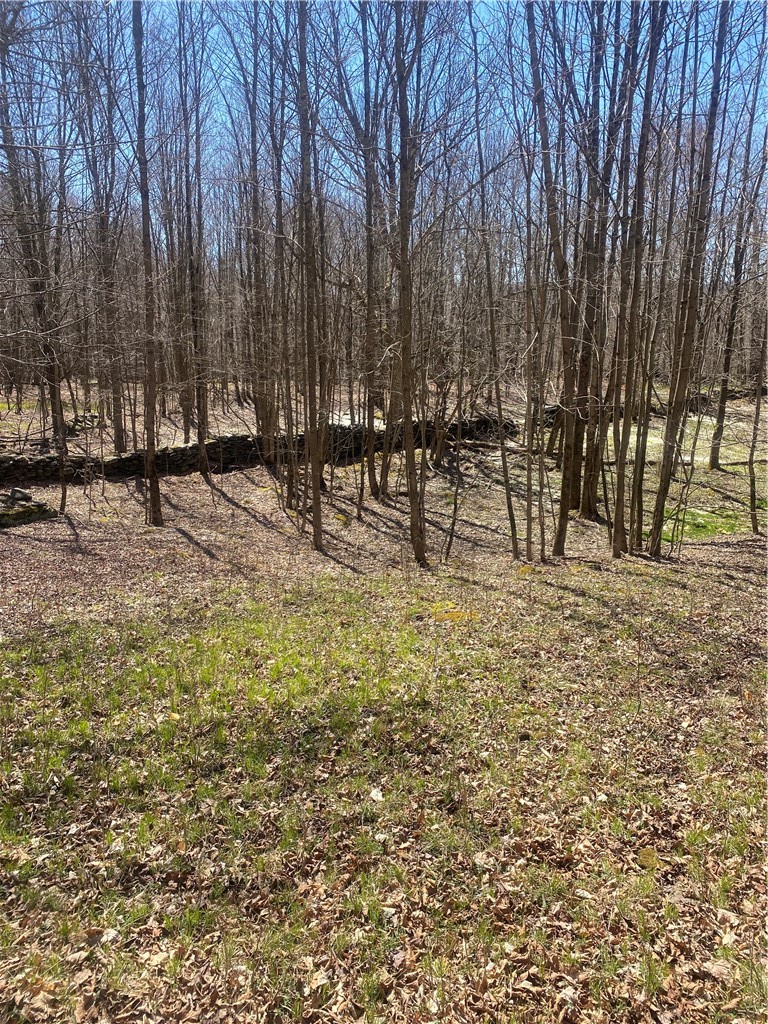 535 Babbling Brook Road Bovina Center, NY 13740 - Photo 18 of 26