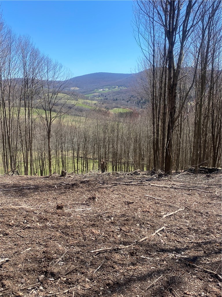 535 Babbling Brook Road Bovina Center, NY 13740 - Photo 19 of 26