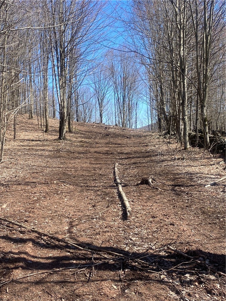 535 Babbling Brook Road Bovina Center, NY 13740 - Photo 20 of 26