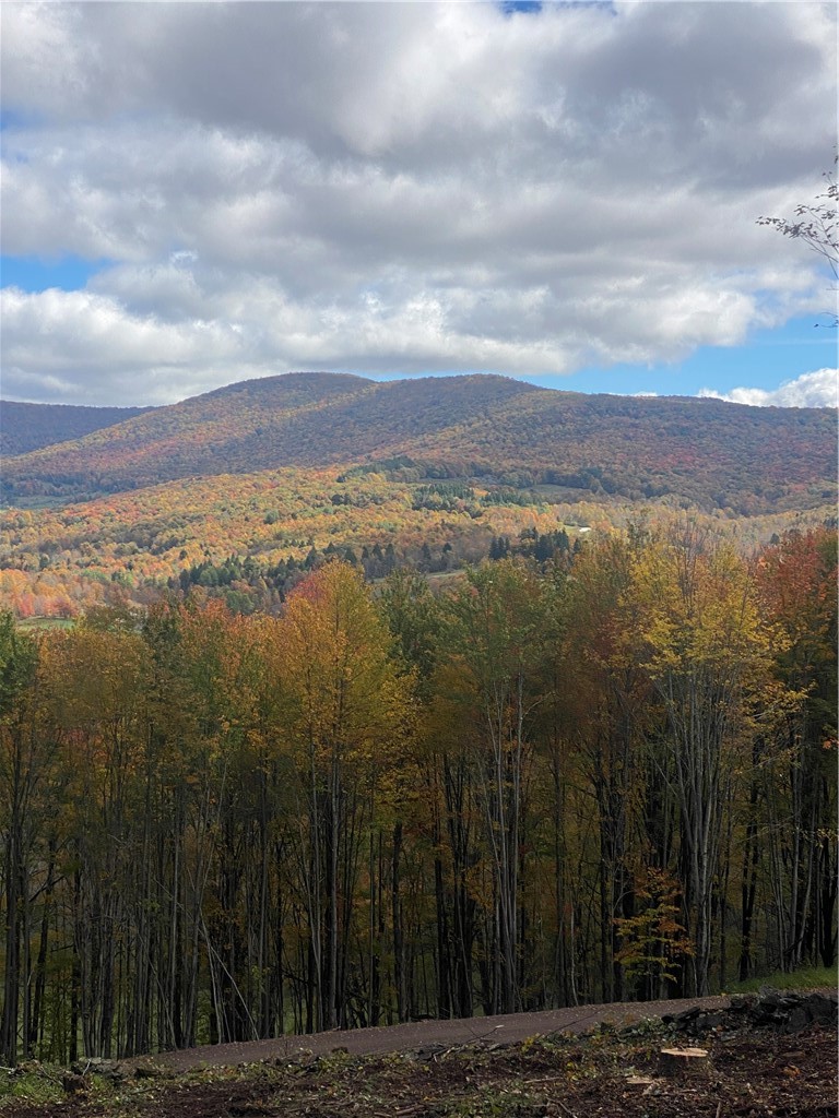 535 Babbling Brook Road Bovina Center, NY 13740 - Photo 2 of 26