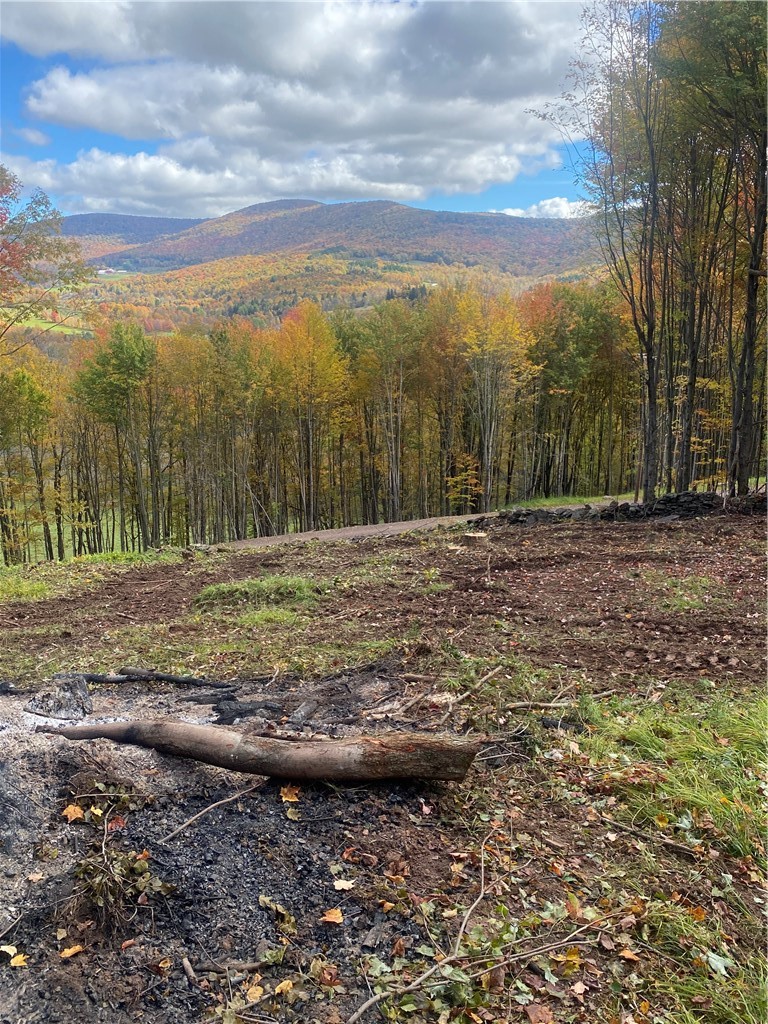 535 Babbling Brook Road Bovina Center, NY 13740 - Photo 21 of 26