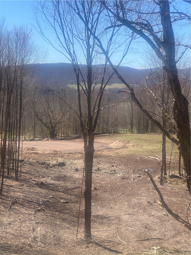 535 Babbling Brook Road Bovina Center, NY 13740 - Photo 22 of 26