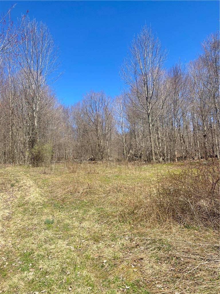 535 Babbling Brook Road Bovina Center, NY 13740 - Photo 23 of 26