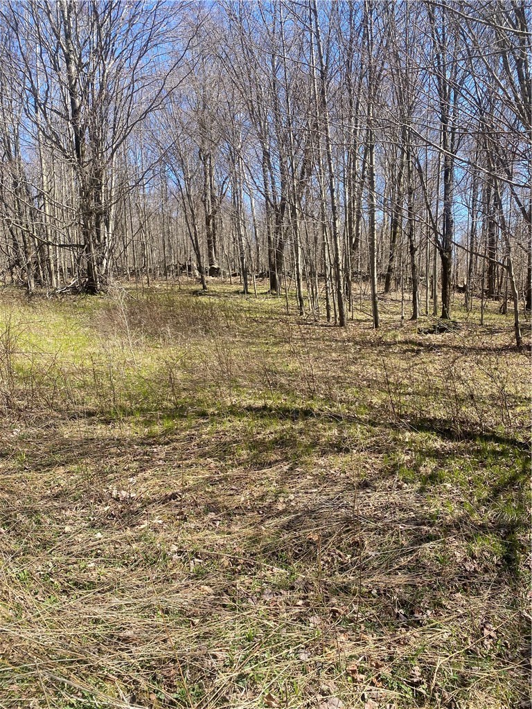 535 Babbling Brook Road Bovina Center, NY 13740 - Photo 24 of 26