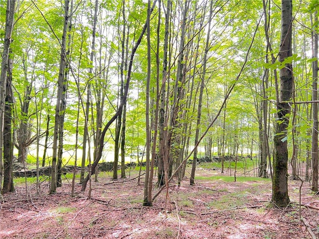 535 Babbling Brook Road Bovina Center, NY 13740 - Photo 25 of 26