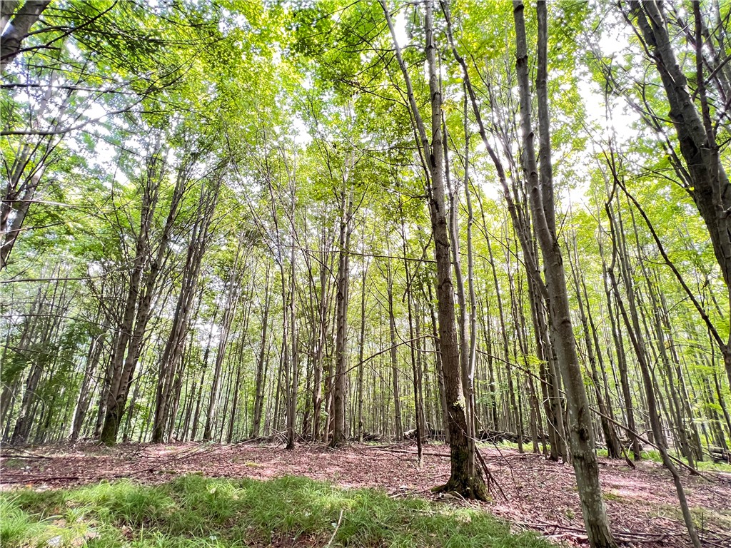 535 Babbling Brook Road Bovina Center, NY 13740 - Photo 26 of 26