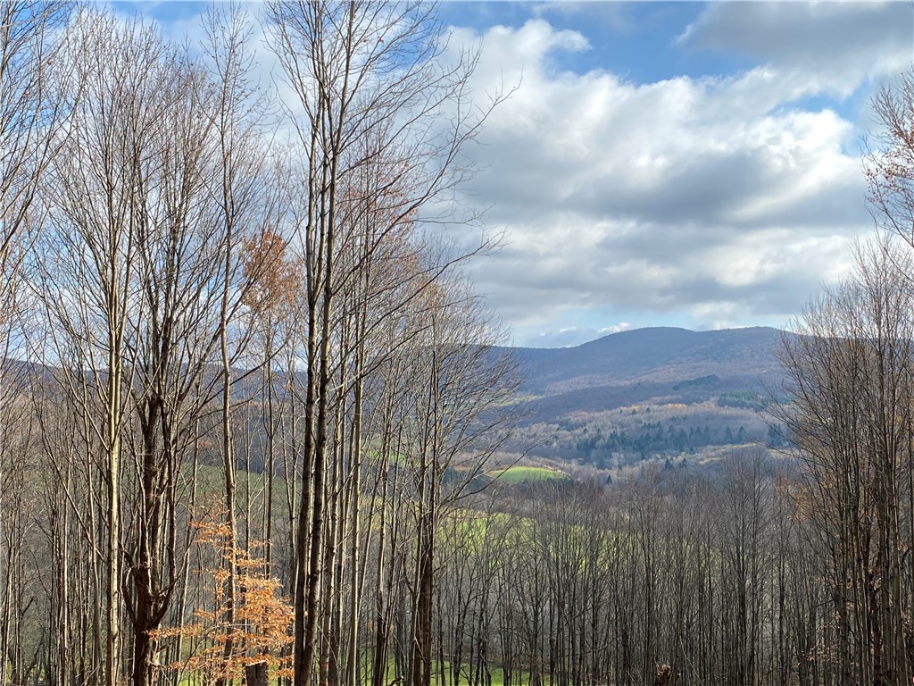 535 Babbling Brook Road Bovina Center, NY 13740 - Photo 4 of 26