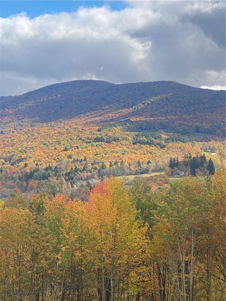 535 Babbling Brook Road Bovina Center, NY 13740 - Photo 5 of 26